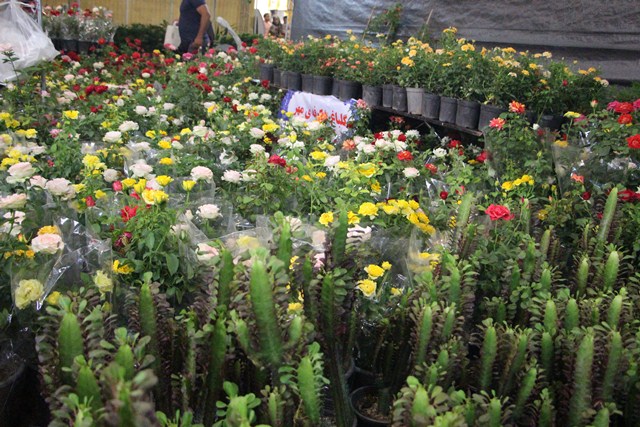گزارش تصویری نمایشگاه گل و گیاه