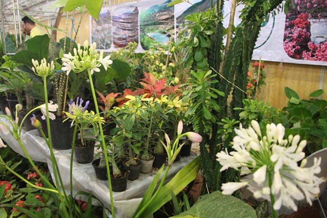 گزارش تصویری نمایشگاه گل و گیاه